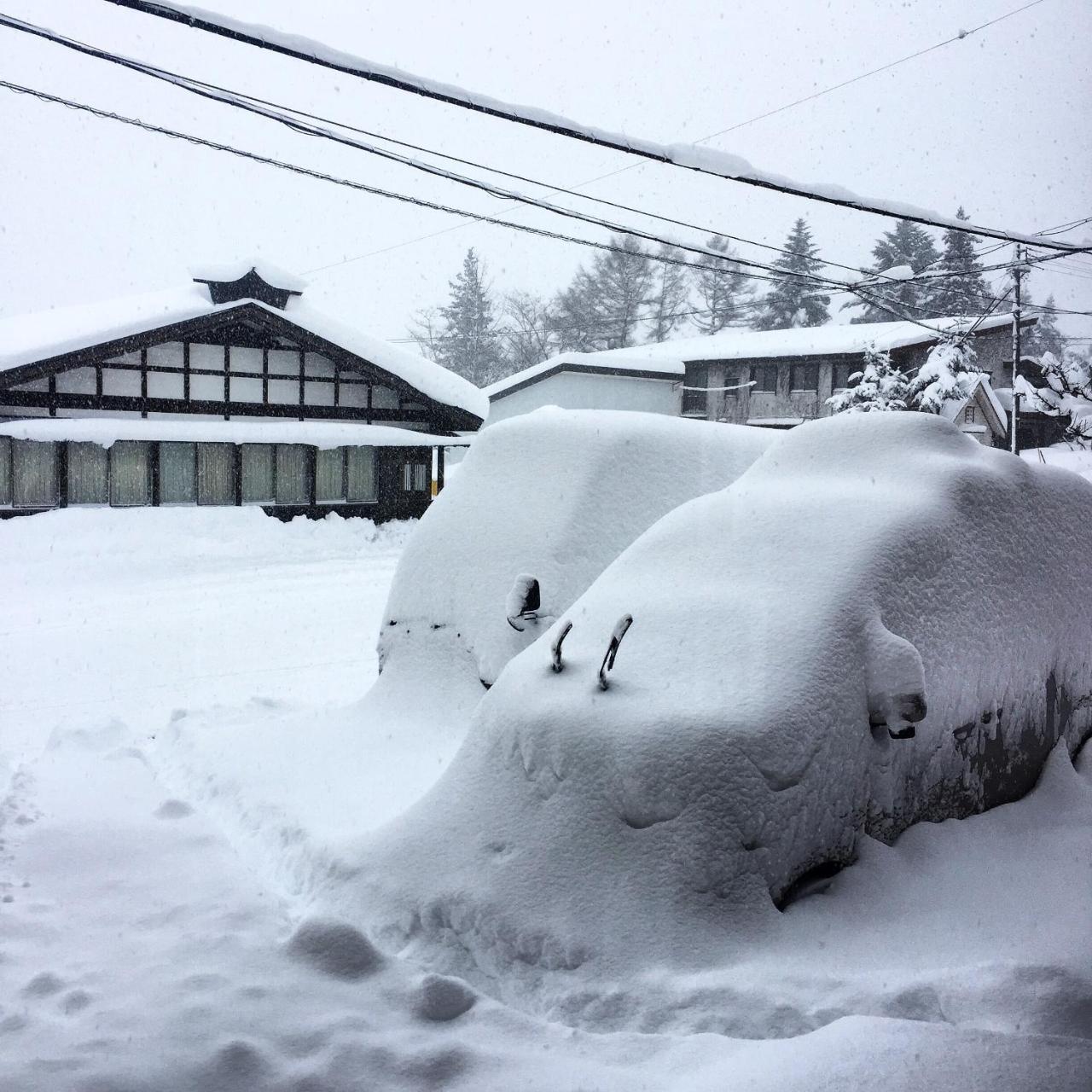 Hakuba Cortina Backpackers Vandrerhjem Otari Eksteriør bilde