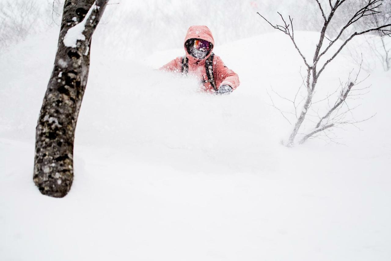 Hakuba Cortina Backpackers Vandrerhjem Otari Eksteriør bilde