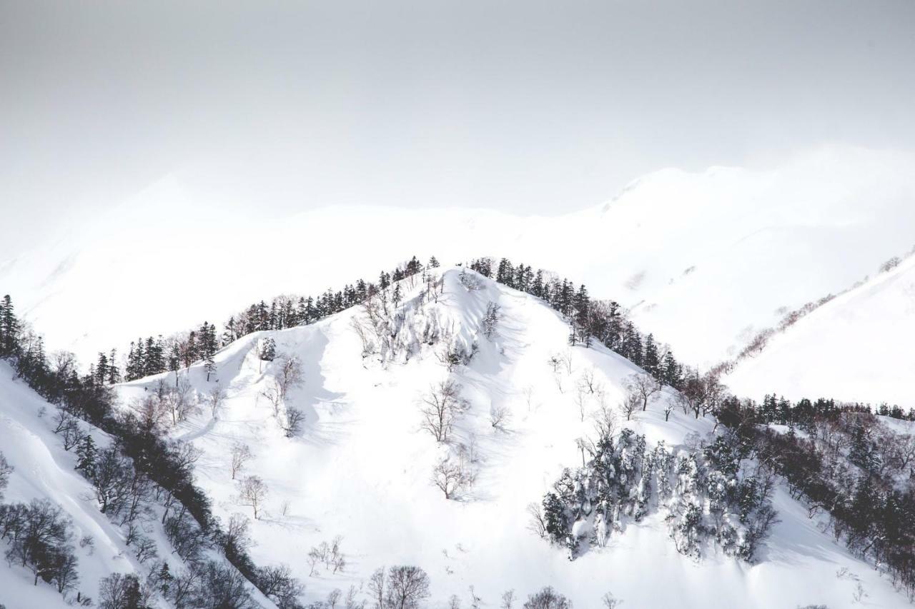 Hakuba Cortina Backpackers Vandrerhjem Otari Eksteriør bilde